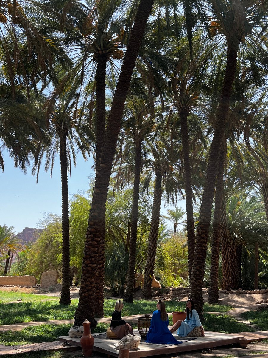ExperienceAlUla's tweet photo. An exquisitely captured moment of peace in the #AlUlaOasis, underneath the towering palms, surrounded by lush greenery.
Who would you bring along? Tag them below 👇
📷 Vladi Vladka, Photographer
#ExperienceAlUla #AlUlaExplorers https://t.co/AucDRCU4mJ