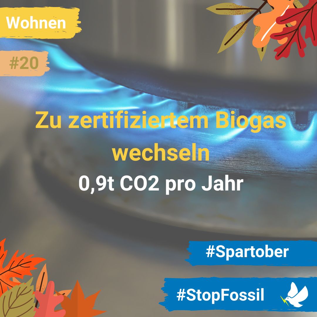 Stop-Fossil tweet media