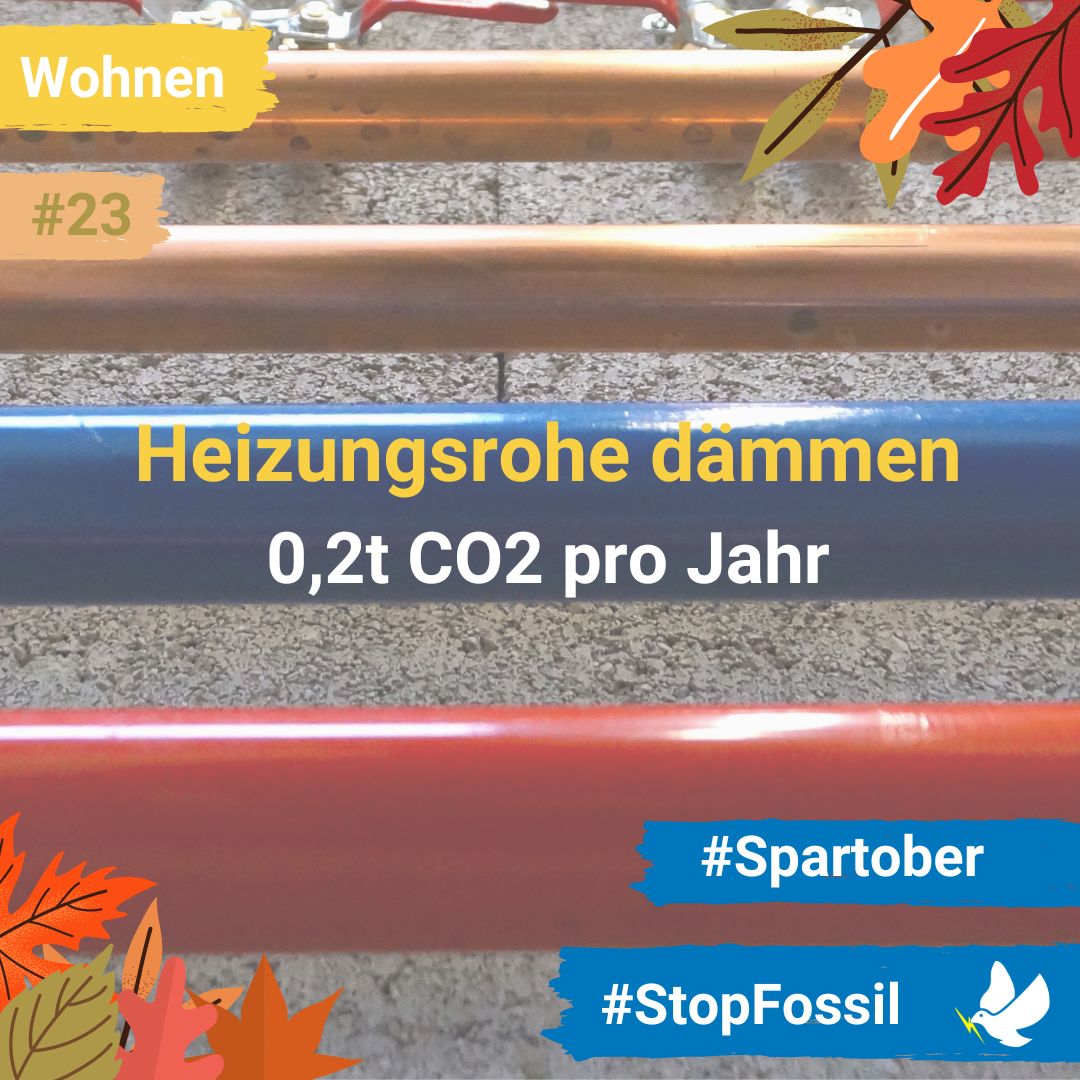 Stop-Fossil tweet media