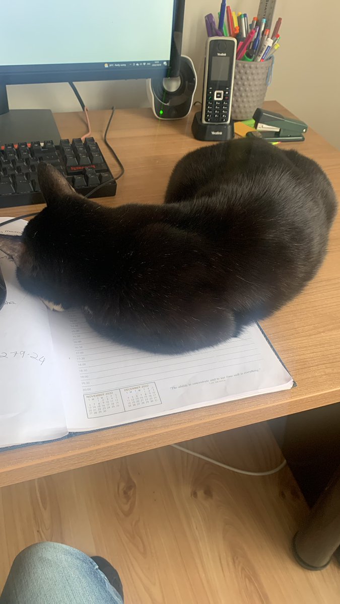 beethebookmouse's tweet photo. Once again my desk gets taken over. 🙈#CatsofTwittter #takeoverwednesday https://t.co/KawV3rjeOU