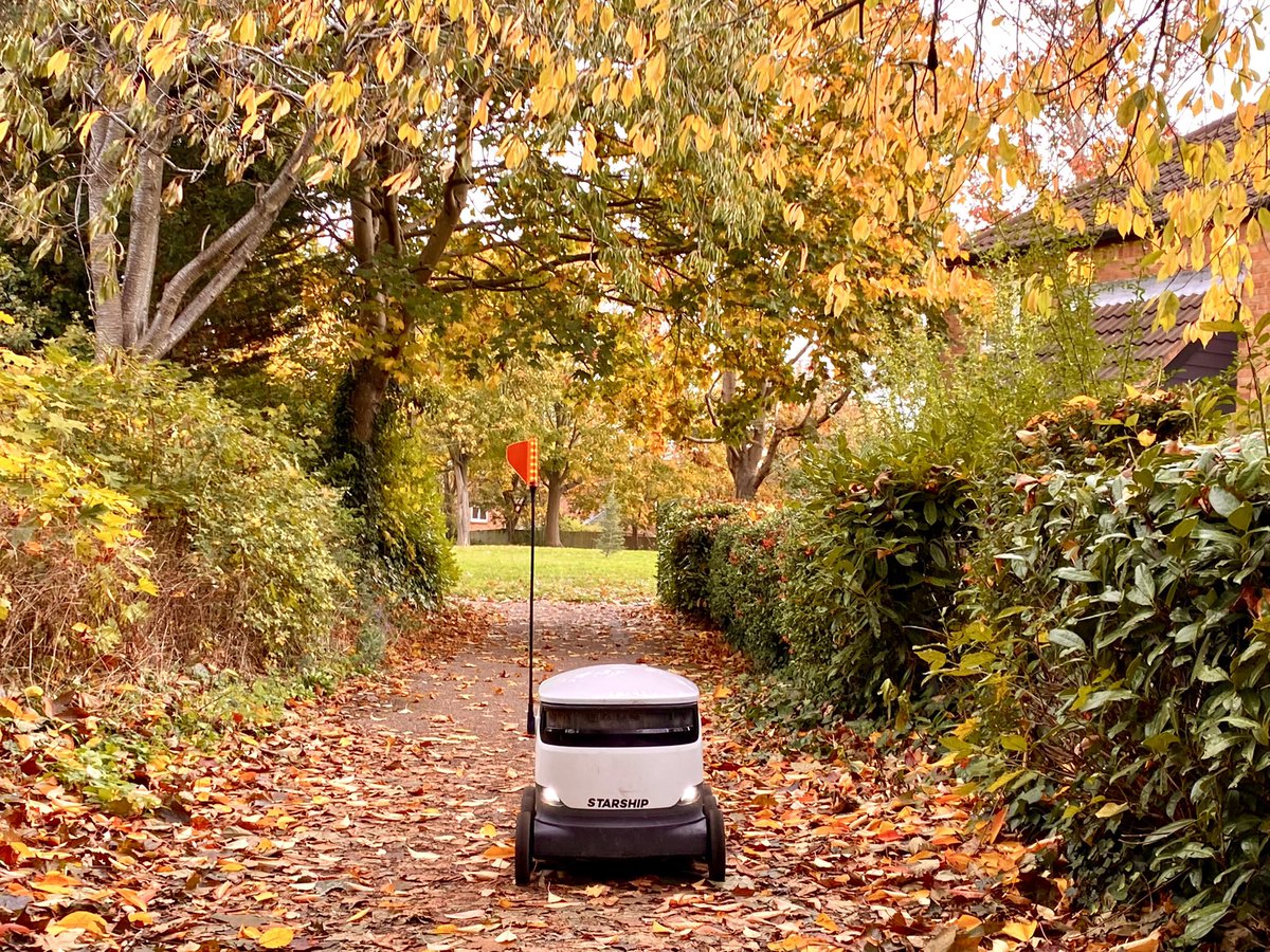 Autumn in MK @scenesfromMK @DestinationMK @StarshipRobots @MKCommunityHub @mkfuturenow