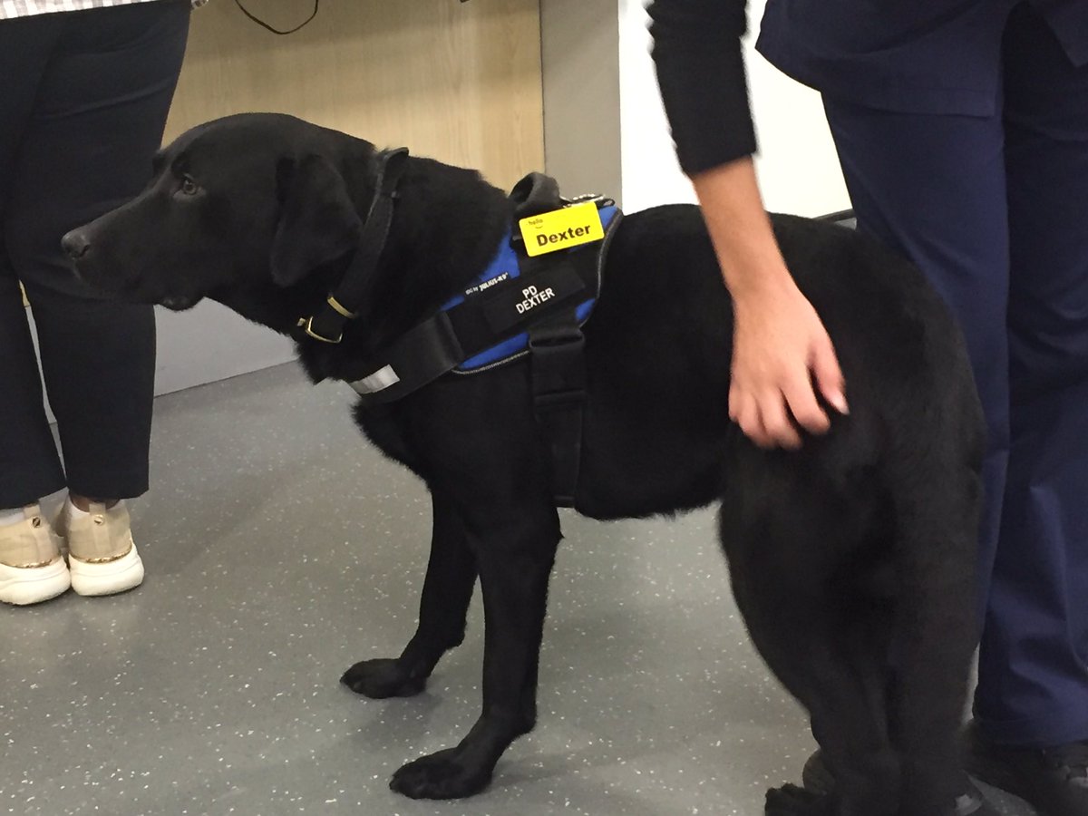 Dex popped in to Barking Community Hospital @BHRUT_NHS to support @BHRUT_HWBHub at a pop up wellbeing morning. As always , plenty of cuddles for our AMAZING #NHSHeroes and for Dex too 🐾🐾🤙 6262CO @MetTaskforce @NHSEnglandLDN #WellbeingWednesday #MentalHealthMatters #k9hour