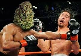 4:20 am just be hitting different
#Mmemberville #STONER #NFT