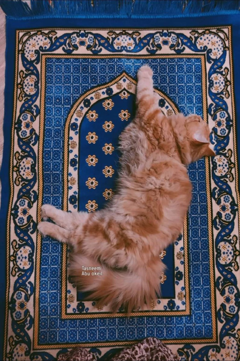 ScreenMix's tweet photo. هُناك مَن وجد السَكينة 💙 https://t.co/v2IvgE2PoI