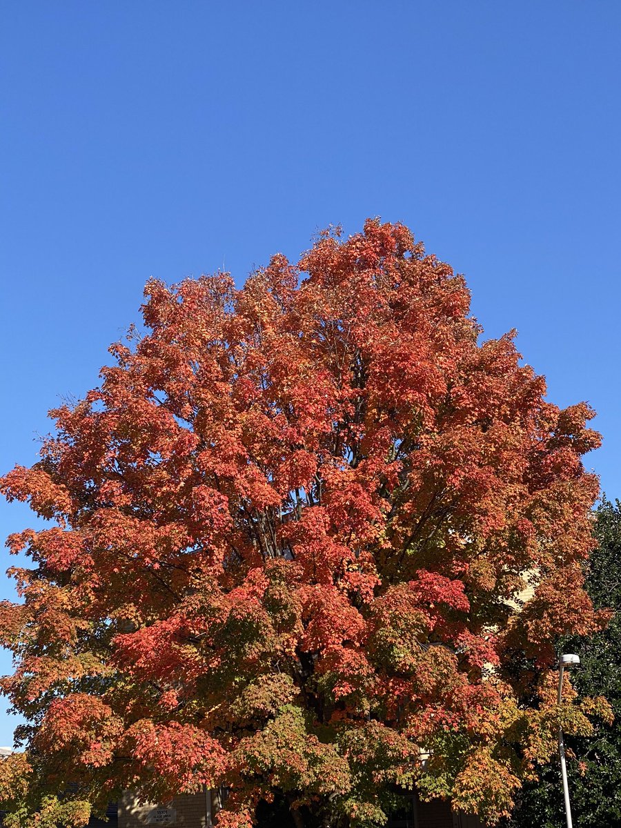 #deepcleansingbreath