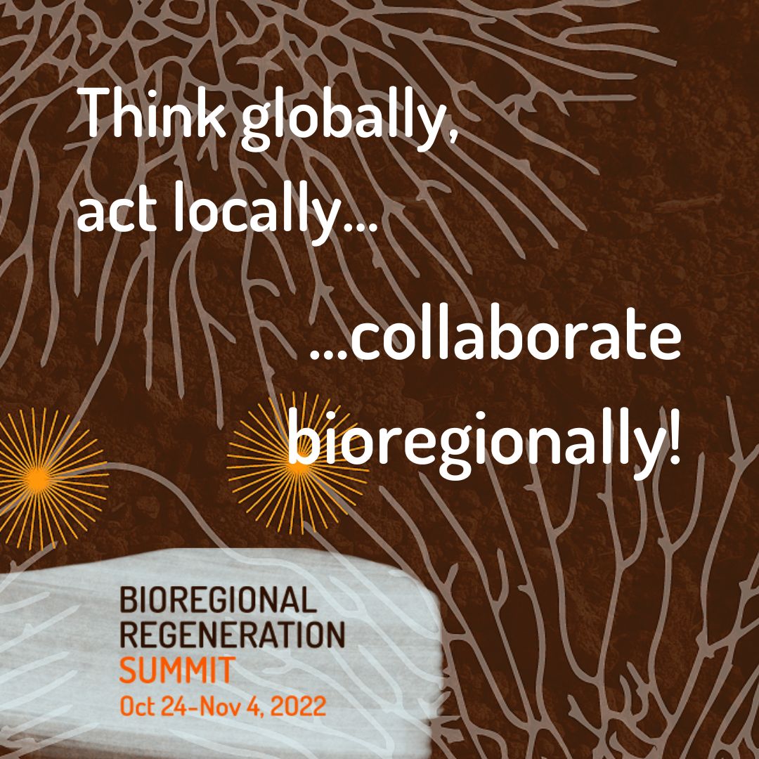 convocolab's tweet image. Proud to be a co-convener of the Bioreginoal Regeneration Summit, w/colleagues from the Regenerative Communities Network. 80+ sessions on all aspects of bioregioning.  @RegenComNet #bioregensummit #bioregional #regeneration #regenerativecommunities #regencommunities