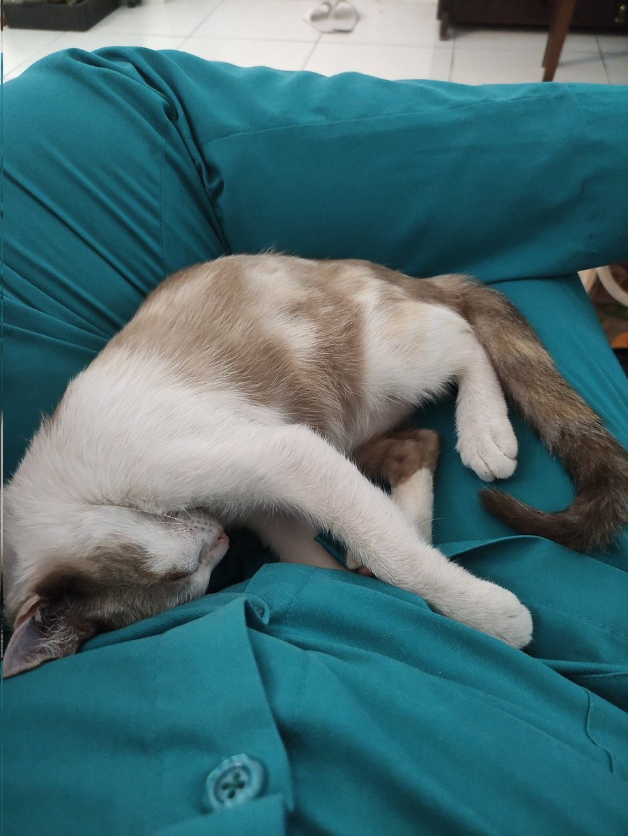 Andika Mahendra tweet media