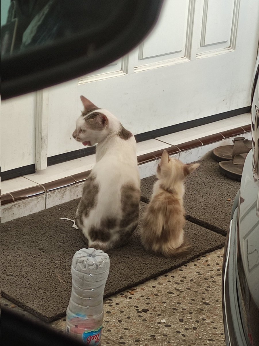 Andika Mahendra tweet media