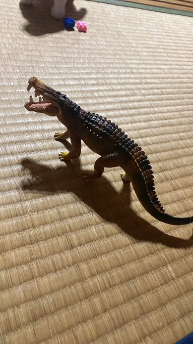 ノアのTwitter画像20