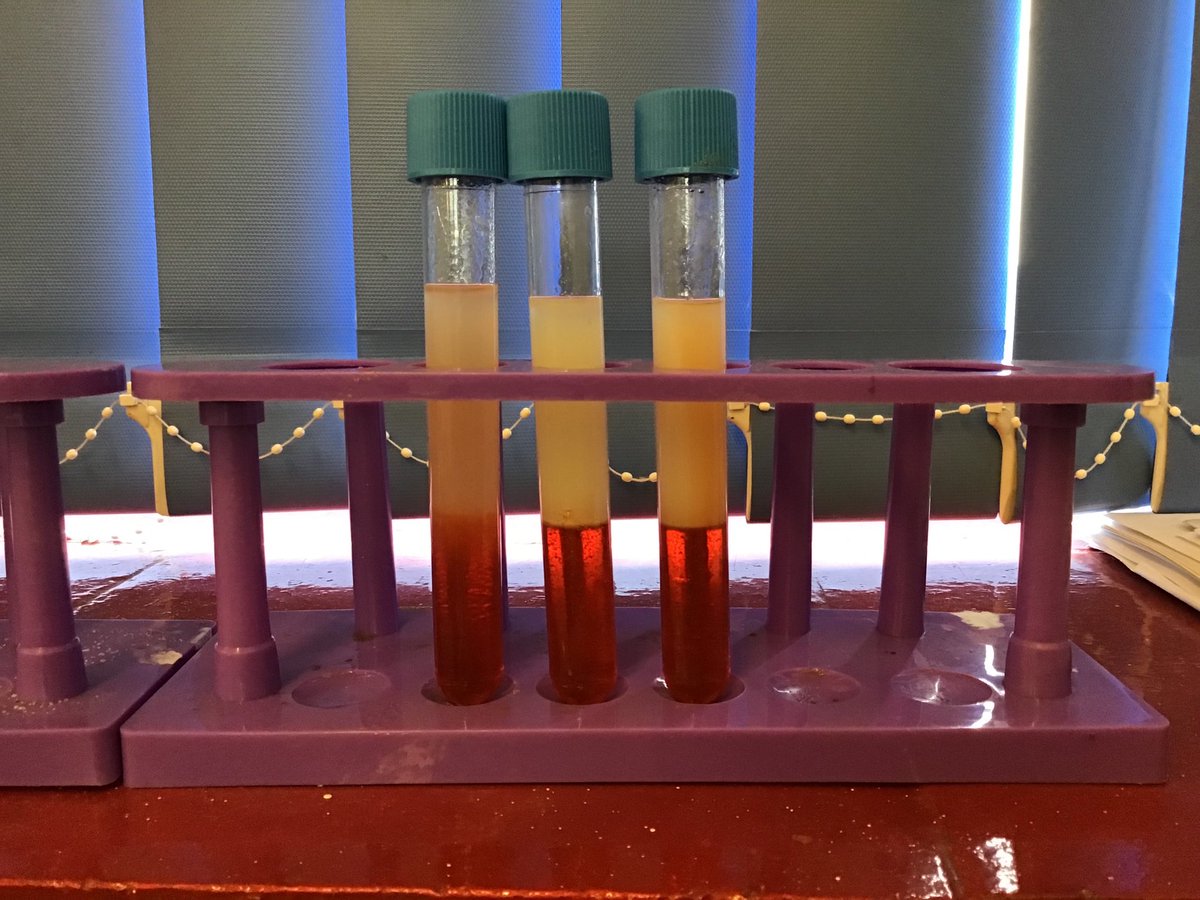 The Beacon CE School tweet media