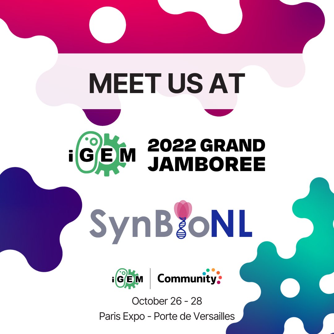 SynBio_NL's tweet photo. Next week #SynbioNL will be present at the @igem #jamboree to interact with everyone and share our stories of connecting the Synbio #community in the Netherlands. Save the date, 27Oct, 10:30 at Plaza#2. Check out https://t.co/vba96AHbwM for more info

#STEM #education #engagement https://t.co/wURvTVQw8v
