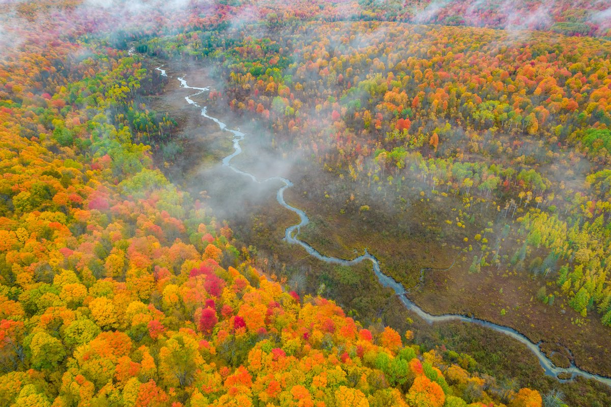 artisticpictur's tweet photo. Michigan Fall Color - Foggy Deadman's Hill Overlook, Elmira, MI
Oct. 16, 2022
https://t.co/HLcZwDi5xb
@artisticpictur
 #puremichigan #deadmanshill #michigansupperpeninsula #puremichigan #uppermichigan #greatlakes #greatlakesstate https://t.co/gkRH4DOJnn
