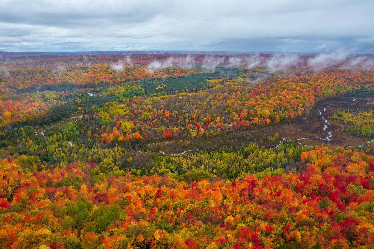 artisticpictur's tweet photo. Michigan Fall Color - Foggy Deadman's Hill Overlook, Elmira, MI
Oct. 16, 2022
https://t.co/HLcZwDi5xb
@artisticpictur
 #puremichigan #deadmanshill #michigansupperpeninsula #puremichigan #uppermichigan #greatlakes #greatlakesstate https://t.co/gkRH4DOJnn