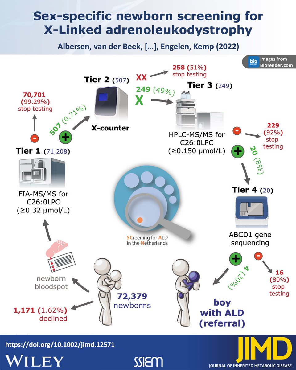 JIMD_Editors's tweet photo. New in the main journal:

Sex-specific newborn screening for X-Linked adrenoleukodystrophy

Monique Albersen, @FredericVaz, @StephanKempNL et al
https://t.co/3rHSlyU3PA
#visualabstract @ALDConnect @ald_team #ald #xald https://t.co/FtU5TRRpUR