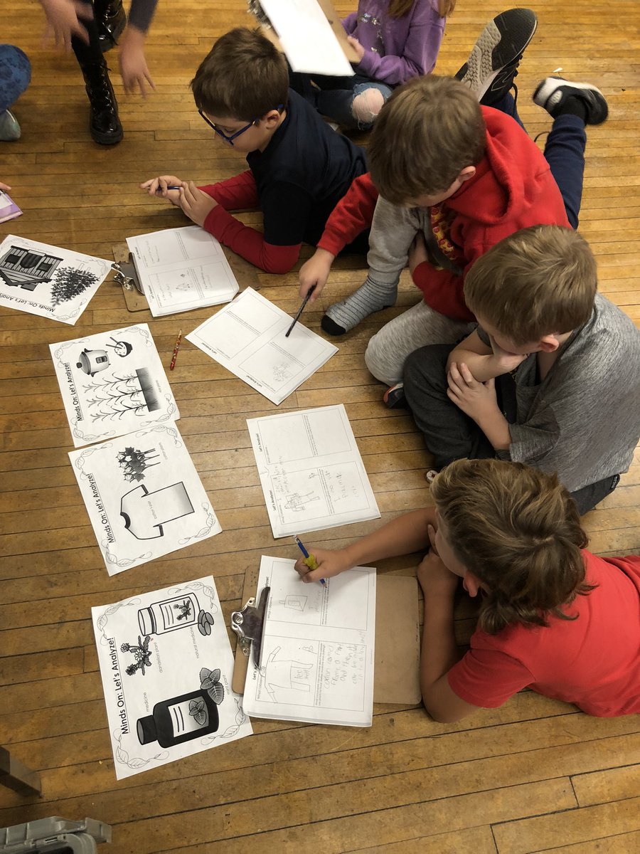 MrsStewart3's tweet photo. Exploring learning centres all about plants @HBeatonBulldogs https://t.co/ZRhbUrOJxt