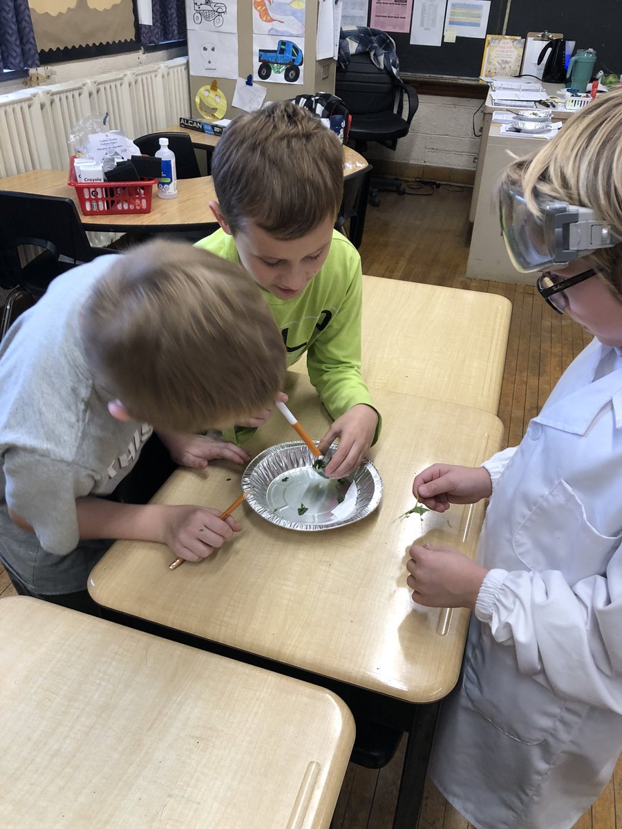 MrsStewart3's tweet photo. Exploring learning centres all about plants @HBeatonBulldogs https://t.co/ZRhbUrOJxt