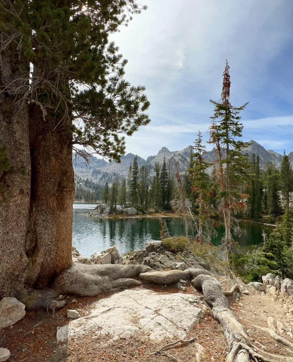 Finding gratitude in places like this. 🌲

📸: explore.with.teri
#Idaho #onlyinidaho #getoutside #hike