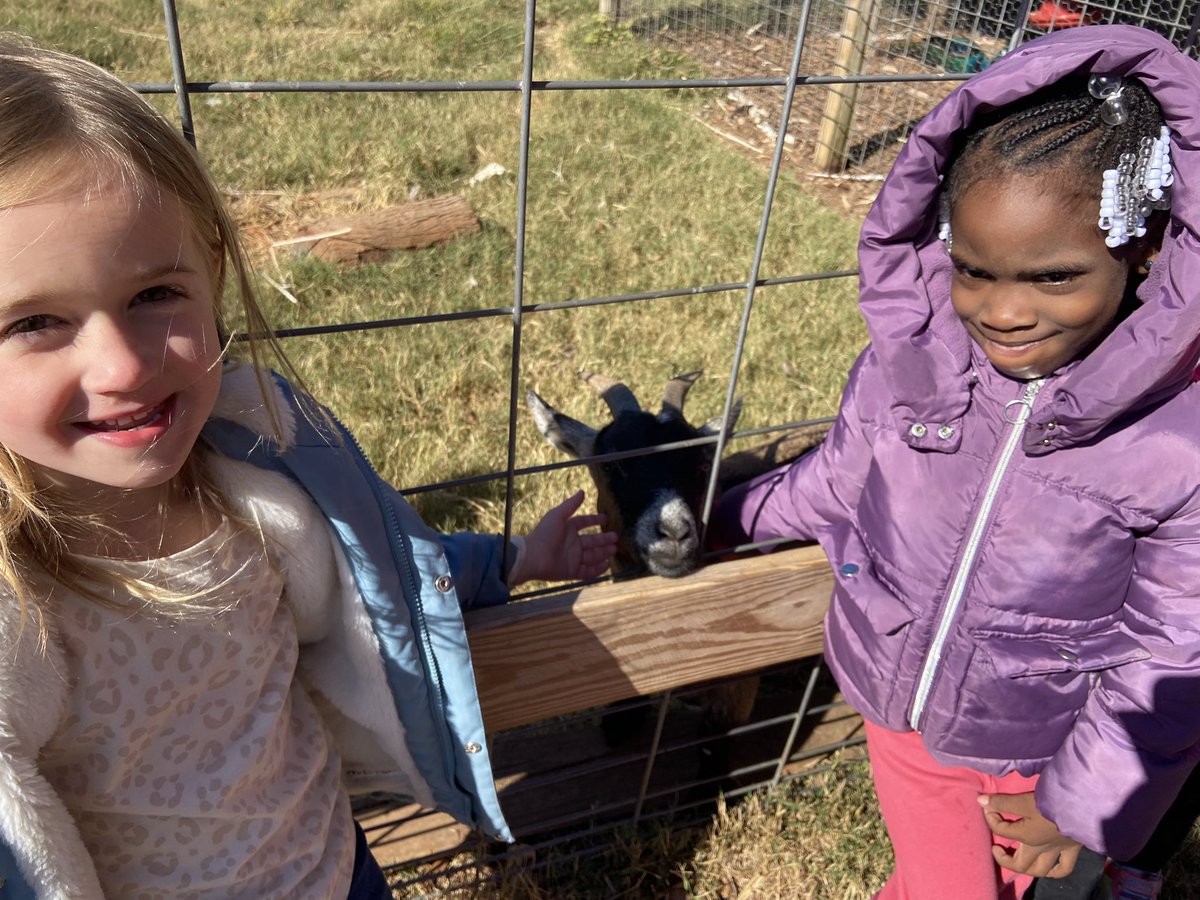 MadisonDionne2's tweet photo. A day on the farm learning about all the plants that grow there and the animals that live there. We had so much fun! @Hasty_Huskies https://t.co/brcG3WDWjp