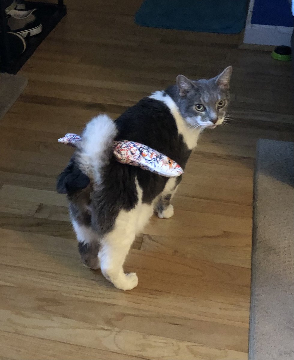 linnovative_'s tweet photo. I like cat tails, like I like my @arbys fries.

Curly, easy to transport, with a solo straight fry inside. https://t.co/H5S7hnXWcb
