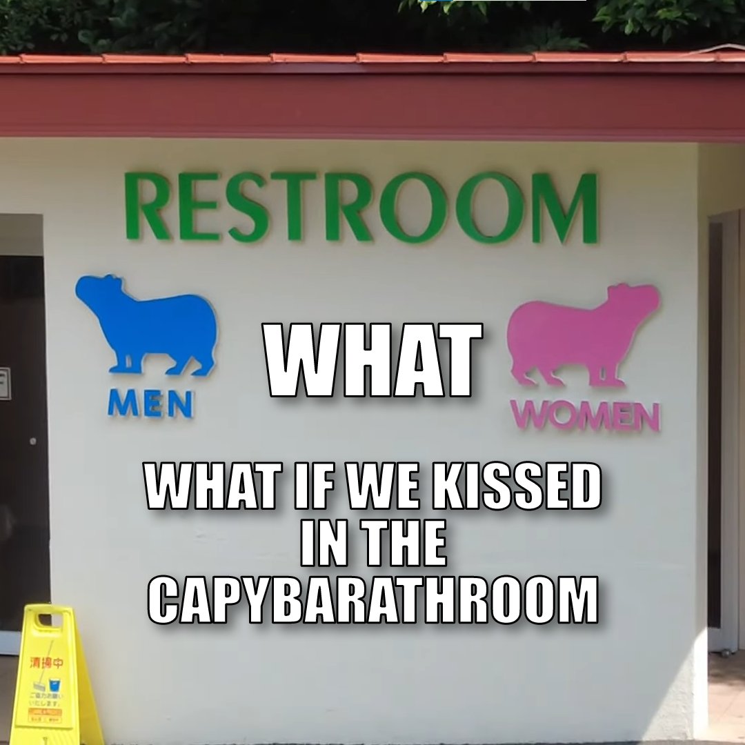 CapybaraClique's tweet photo. @CAPYBARA_MAN https://t.co/GtKf1YKOfE