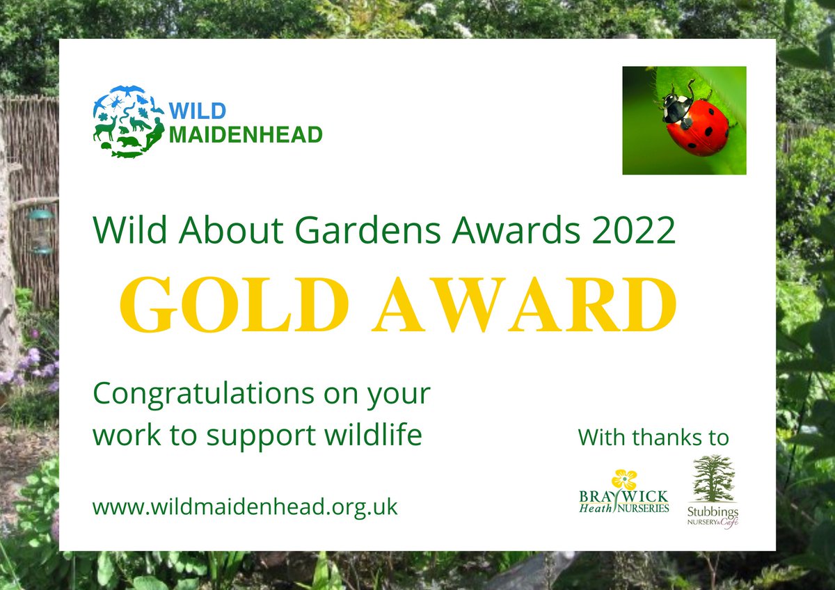 RobJAcker's tweet photo. Thrilled to get our Gold WAGA Award, thanks ⁦@WildMaidenhead⁩ https://t.co/EIBRJdMNii