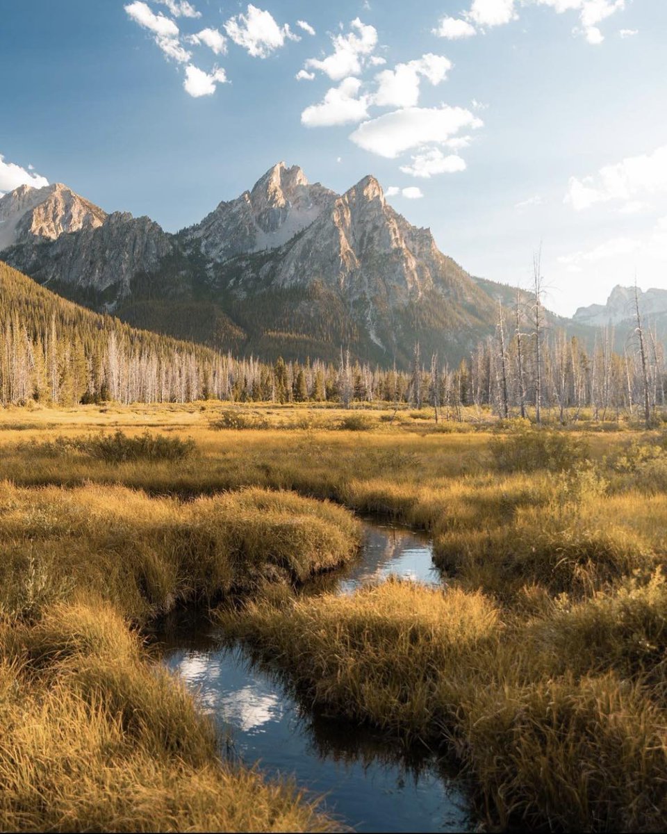 Fall is HERE! 🍂
📸: @jeremytwalls 

#onlyinidaho #idaho #fall #scenery #landscape