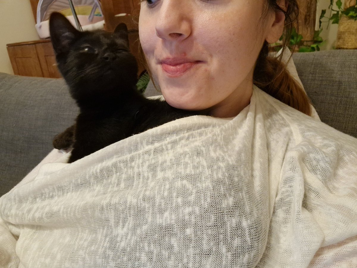 When your disabled kitten has separation anxiety so you have to wear a ... - Kitten Anxiety Wearable Solutions