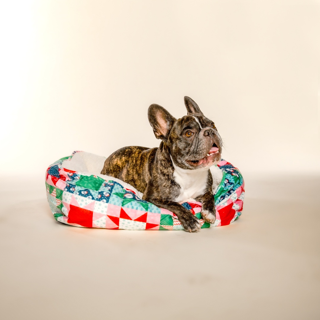 DollyParton's tweet photo. I’m still feelin’ the holiday spirit, so I think it's the perfect time to announce that my @DoggyParton holiday collection is available now! 🐾 Hurry and get your paws on some gifts for your furry friends at https://t.co/lWJYQnHKW3! https://t.co/4Hu7VrhjmB