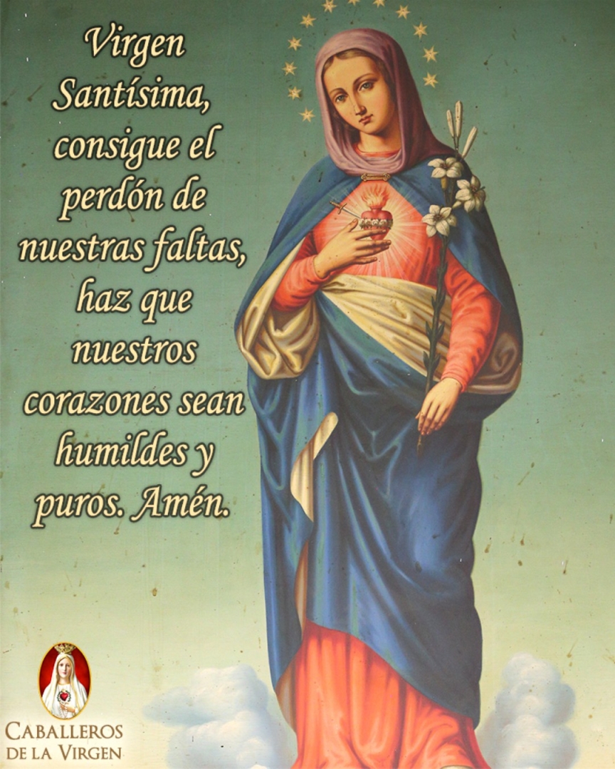 Caballeros de la Virgen tweet media