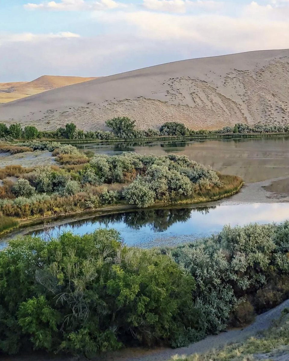 Did you know 🤔: Bruneau Dunes park boasts the tallest single-structured sand dune in North America with a peak 470ft above the surrounding desert floor!

📸: @chamorrita_explorer
#onlyinidaho #idaho #dunes #bruneau #nationalpark