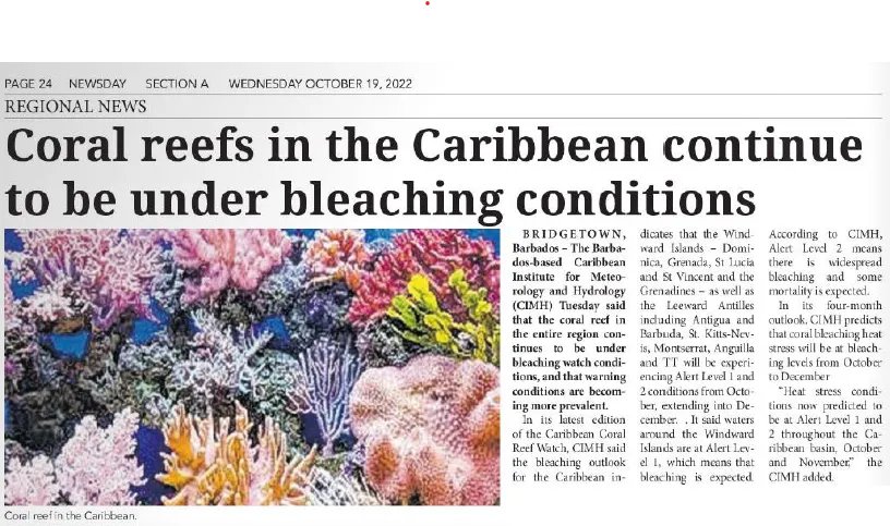 IMAgovTT's tweet photo. Coral reefs in the Caribbean continue to be under bleaching watch.
#coralreefs #coralbleaching #caribbean #trinidadandtobago https://t.co/1uMfmDYsGE