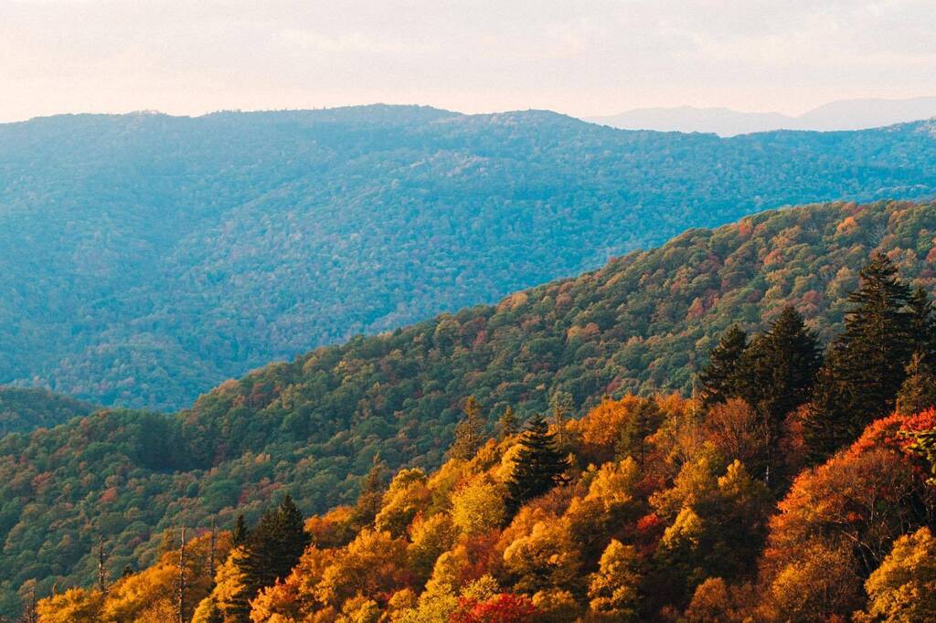 Seaset Mountain | Blue Ridge Parkway | North Carolina

I asked my four year old what I should name this image. She said, "Seaset Mountain. Isn't it a good name?"

Yes it is. instagr.am/p/Cj50IEAOqWX/