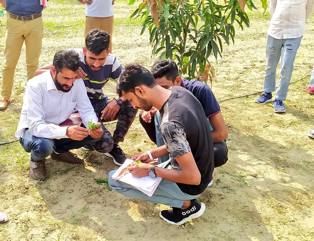 shivenduhry's tweet photo. Disease identification session and Field day #Gardener training program, Centre For Subtropical Fruits, Ladwa, Kurukshetra #CSTFLadwa @hortharyana @horticulturehry @ASCI_AgriSkills @AgriGoI – at Ladwa https://t.co/y1GMTTrmKK