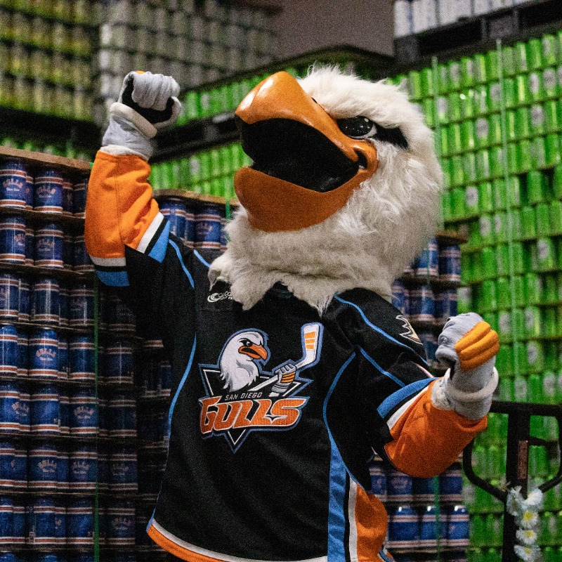 SDGullsAHL's tweet photo. We can finally announce what we've been brewing...

Our Gulls Blue Line Blonde Ale is here! 

The beer will make its @PechangaArenaSD debut at our home opener presented by @CalCoastCU on Friday 🍺