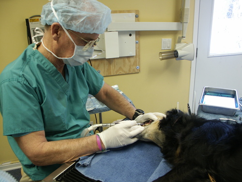 Tweet by Michigan VMA