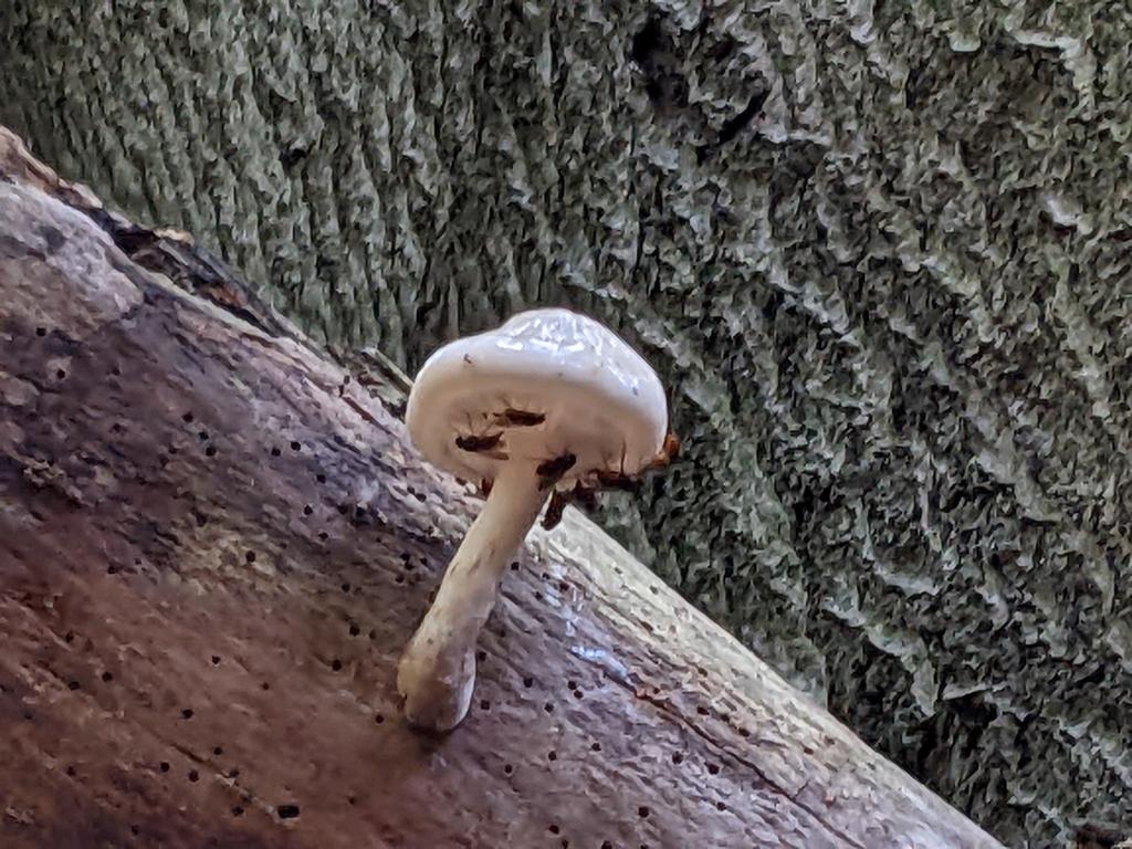 Ben Davis tweet media