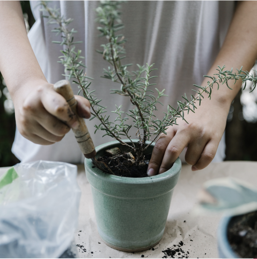 Element_Cert's tweet image. Our basic soil test analysis includes:
🌱 pH
🌱 Electrical Conductivity
🌱 Nitrate
🌱 Phosphate
🌱 Potassium
🌱 Sulfur

elementcertified.com