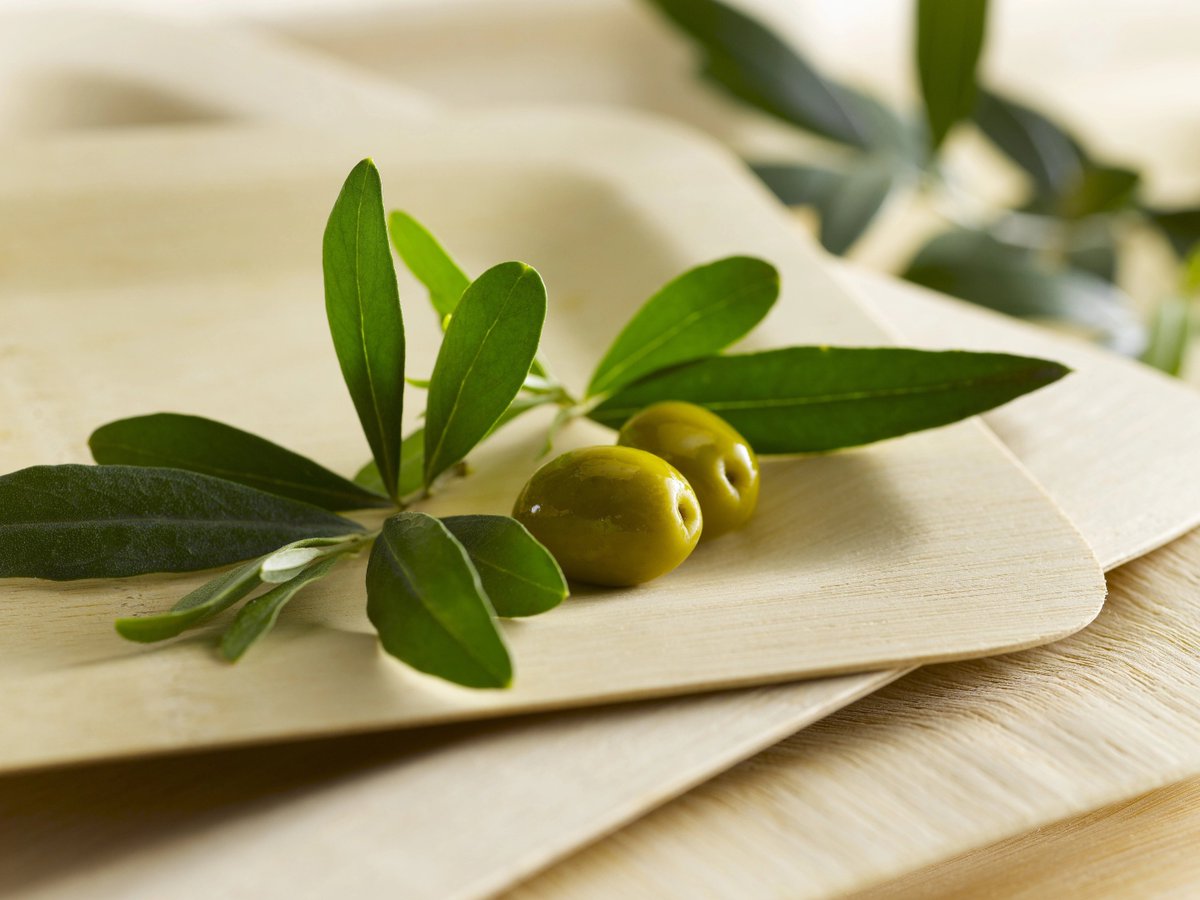 natures_party's tweet photo. Switch to our Bamboo Veneer Square Plate for your eco-friendly disposable plate. It can handle hot and cold dishes and suits any event setting.
https://t.co/LM1GiPVjoT
#NaturesPartyUSA #EcoFriendly #FoodServiceSupplies #Bamboo #DisposablePlate #Biodegradable #Compostable https://t.co/nidcDiA7sp