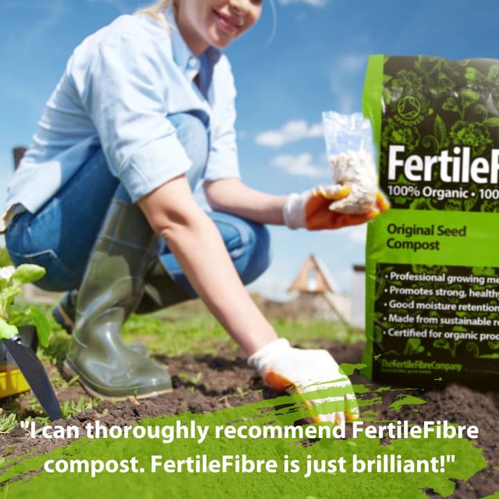 Fertilefibre's tweet photo. Our #SeedCompost is proving very popular at the moment!
We get fantastic feedback from gardeners about their germination rates when using our Seed #Compost. 🌱
Available in various sizes, order online from our website
#peatfree #organic
https://t.co/QOcq7c8VKH https://t.co/5MM1dFw5VE