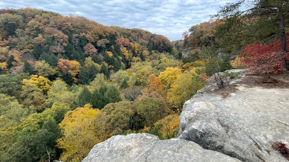 ohiodnr's tweet photo. Fall colors right now are TREE-mendous! Get outdoors and enjoy some of the best fall colors like the ones at Conkles Hollow State Nature Preserve. And donβt forget to check out https://t.co/1MGxrJkg3N for the latest info and tag your photos with #OhioFall22 π @OhioFindItHere https://t.co/FjJELJPmBd