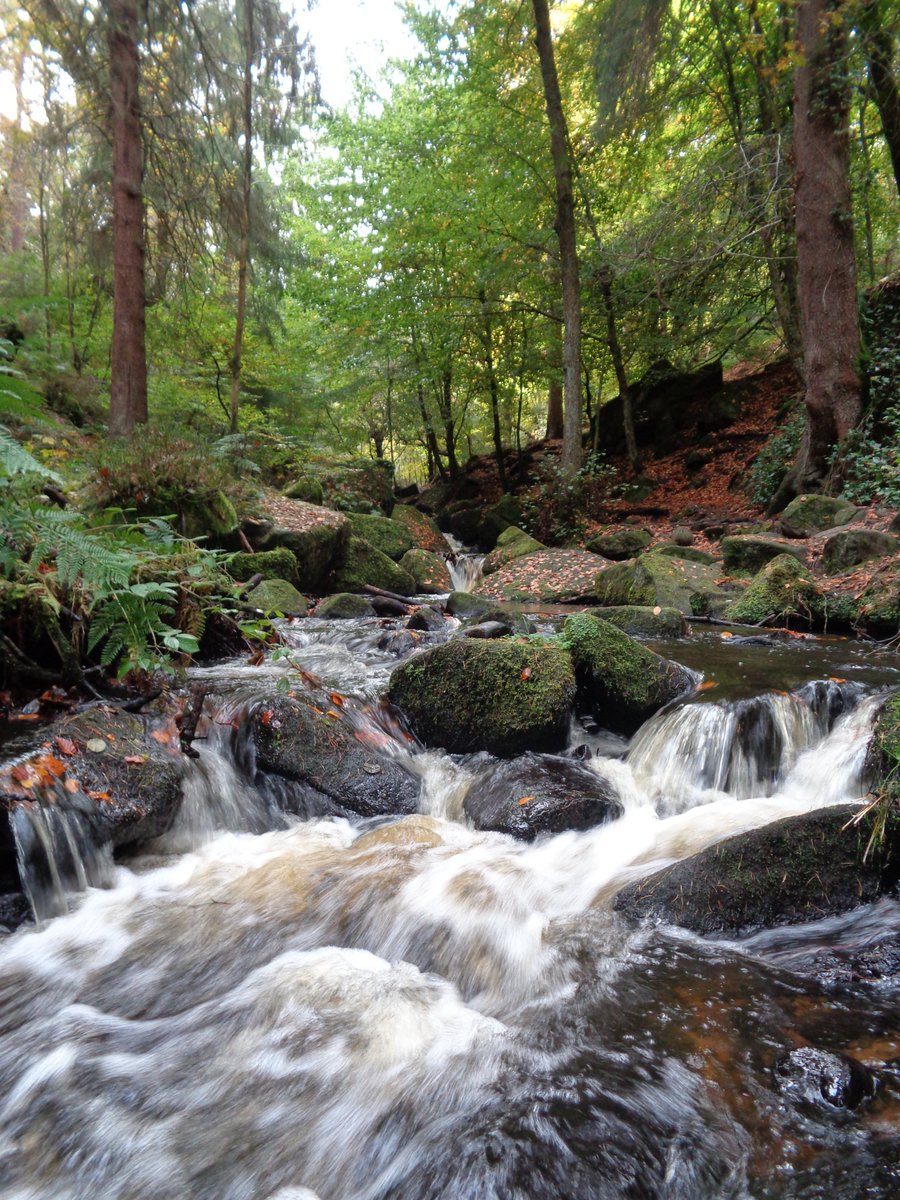 smallmassive's tweet image. #EveryoneNeedsNature#wymingbrook