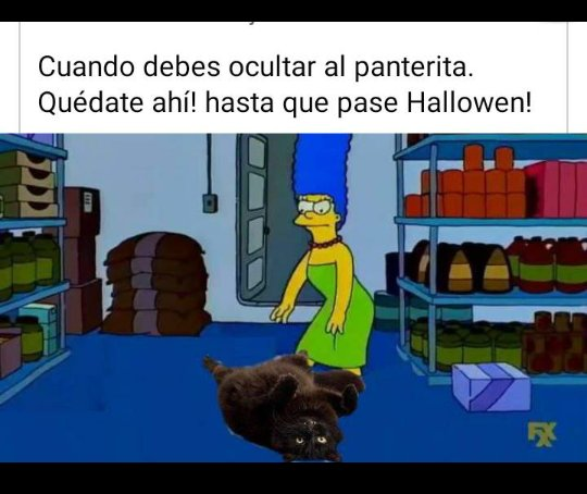 Si.