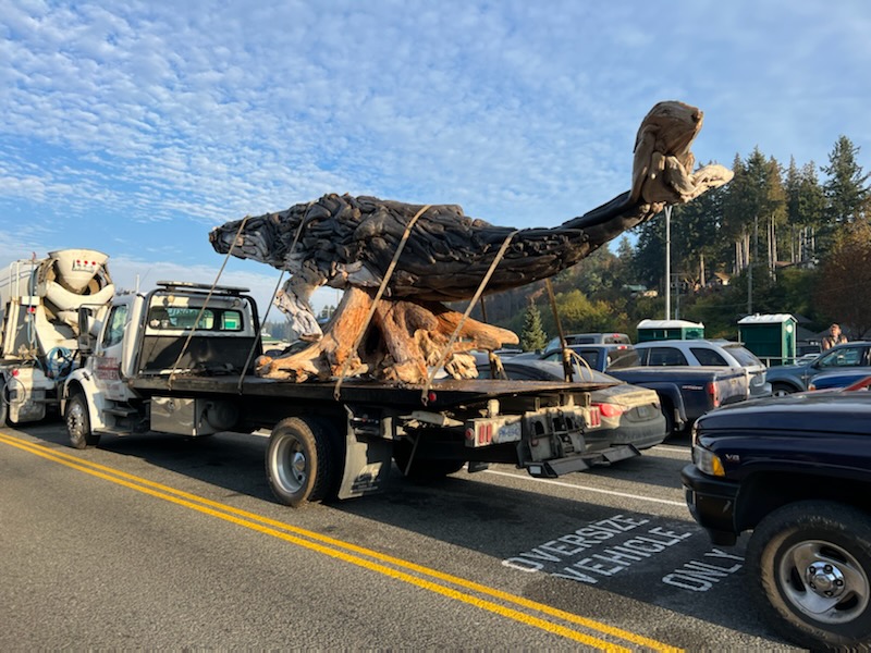 CRAT_Operators's tweet image. Delivery day of this 30&apos; Humpback whale to Campbell River Ken Forde Park.  #CRATO proud project.  #CRicon #homeofthehumpback #campbellriver

@wilhelmus @benvadasz @CHEK_News @CRMirror @CTVNewsGord @DstnThink @HelloBC