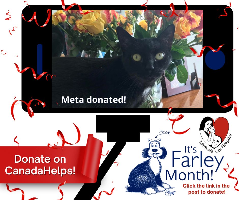 TheCatHospitals's tweet photo. Meta & Lyndell donated to the #MerivaleCatHospital #FarleyMonth fundraiser for .@Farleyfndation! Thank you for helping us help cats in our community. Want your cat to be featured? Donate on CanadaHelps! https://t.co/RF8Uh7kxHq #CatsofTwitter #OVMA .@canadahelps https://t.co/SAsclNNIhF