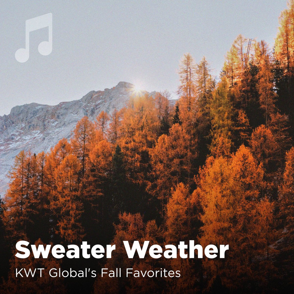 KWT Global tweet media