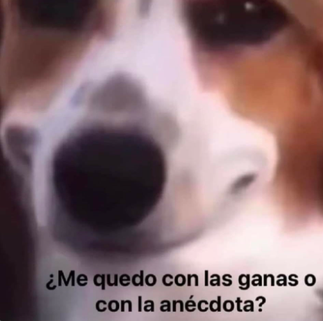 flantasma tweet media