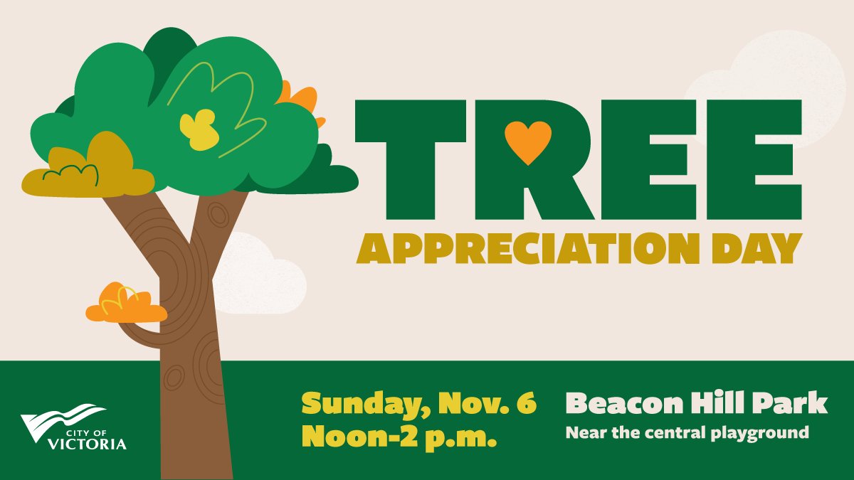 CityOfVictoria's tweet photo. Celebrate #TreeAppreciationDay🌳 on Nov 6 in Beacon Hill Park. Join City staff and local experts for a fall celebration of all things trees: tree tours, tree planting, moth banding, kids’ nature activities, apple pressing and more. Noon-2 p.m. Learn more: https://t.co/1kVHxN5etA https://t.co/3xt5Fs80bk