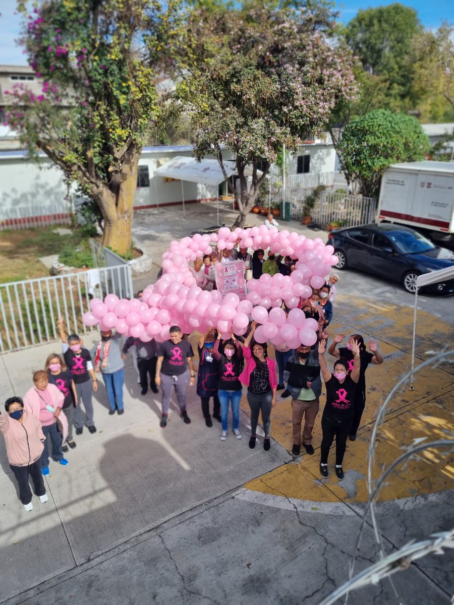 JeniferChacn's tweet photo. Homenaje al día internacional de lucha contra el cáncer de mama. DIF Matías Romero 🙂💗 https://t.co/lOLUfSEDq7