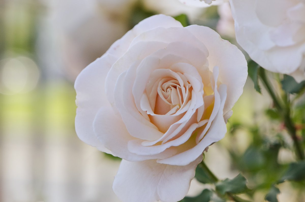 Mariloupix📸 tweet media