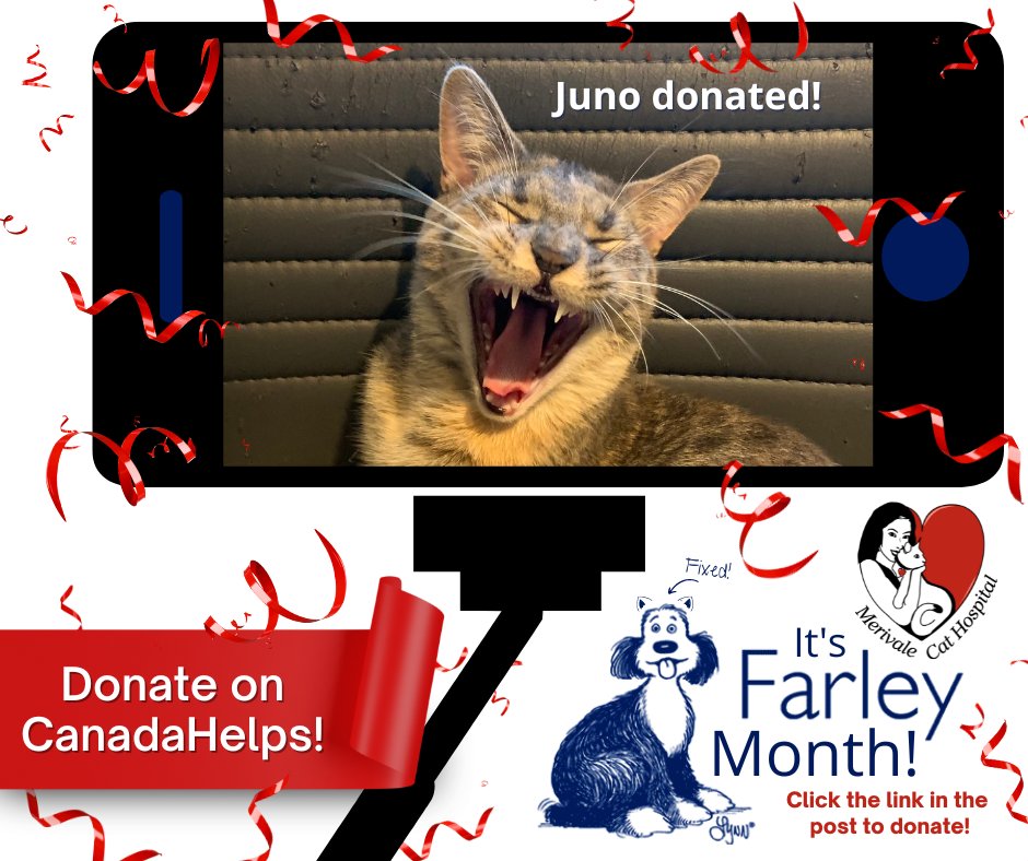 TheCatHospitals's tweet photo. Juno & David donated to the #MerivaleCatHospital #FarleyMonth fundraiser for .@Farleyfndation! Thank you for helping us help cats in our community. Want your cat to be featured? Donate on .@CanadaHelps! https://t.co/RF8Uh72WPS
#CatsofTwitter #OVMA #CanadaHelps https://t.co/vL7ommwhY2